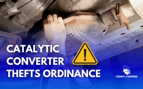 CC Ordinance ENG